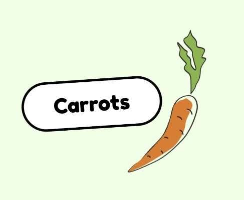 Carrot written in a box near a carrot illustration