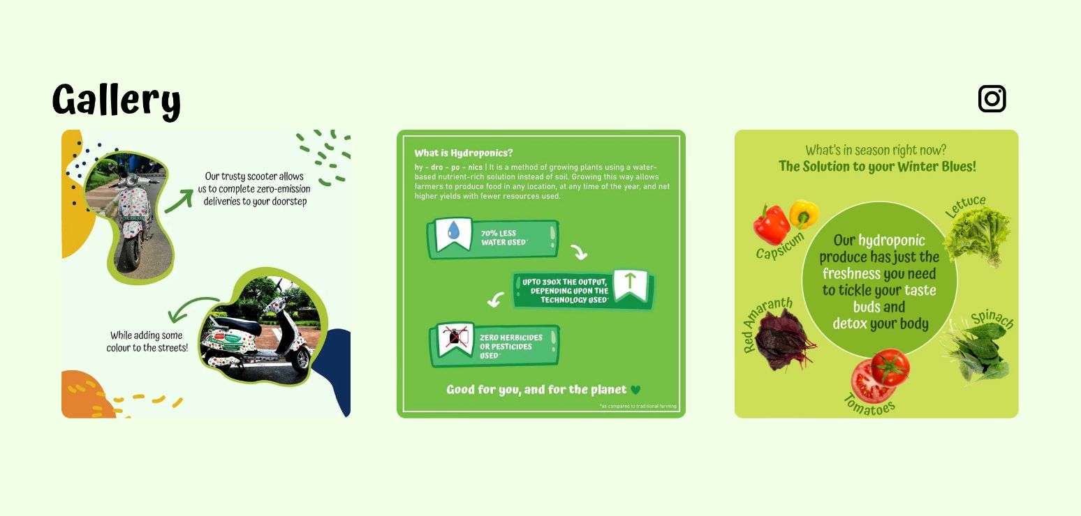 Freshponics Instagram attached to it's website by Avval