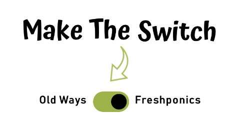 Freshponics e-commerce website design by Avval Web Design Company, showcasing fresh and chemical-free produce for sale