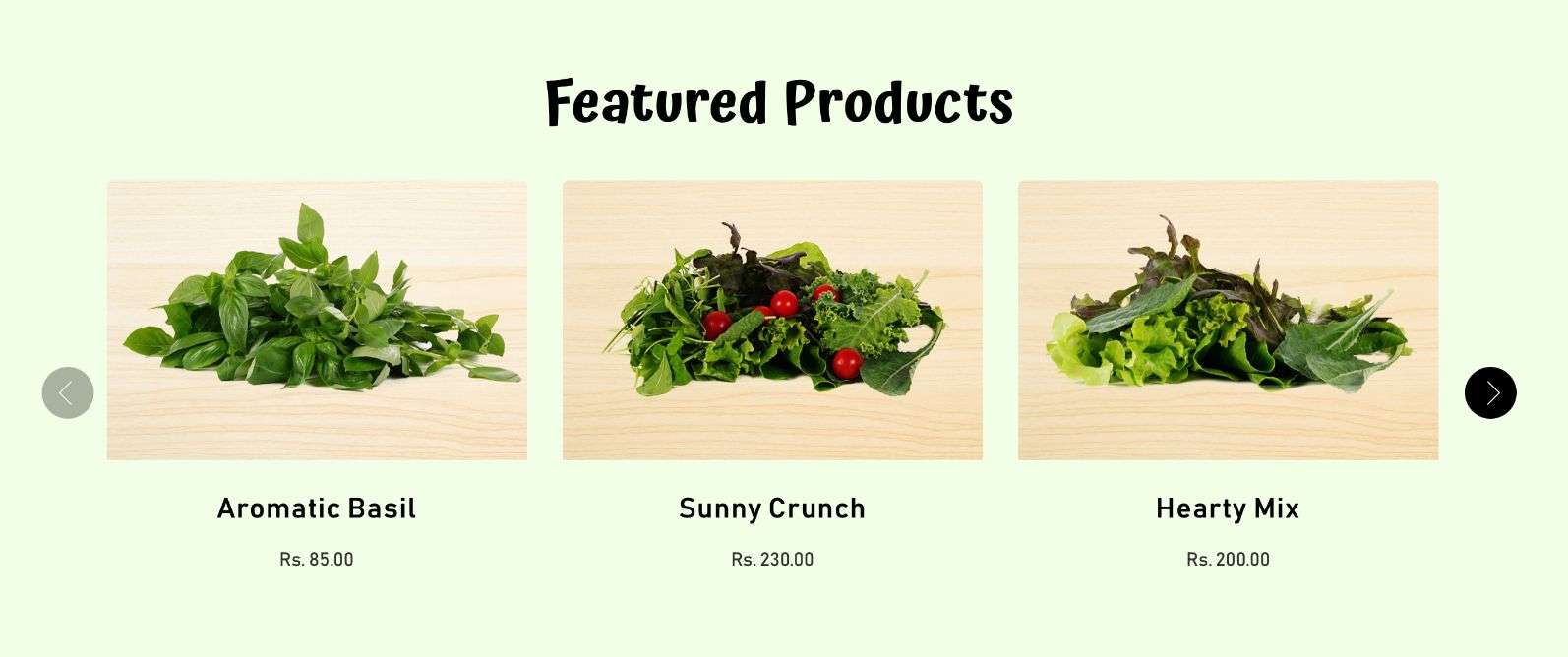 Featured Products of freshponics E-Commerce Website Designed by Avval digital Marketing Company in Bhopal