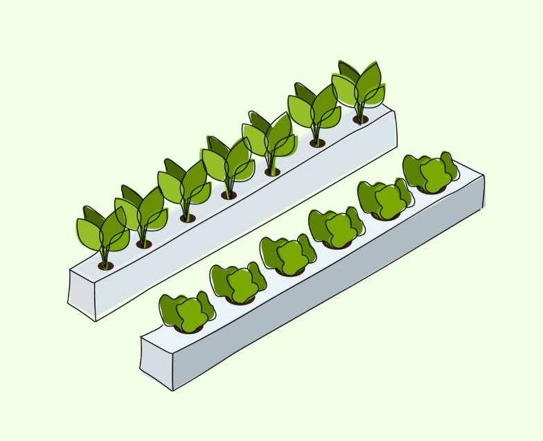 Freshponics website mockup showcasing hydroponic farming solutions by Avval Social Media Marketing Company